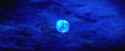 3.91 MB