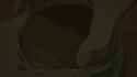 1.13 MB