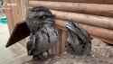 1.28 MB