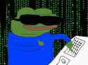 1007 KB