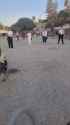 3.8 MB