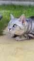 1.48 MB