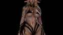 2.9 MB