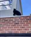 4.21 MB