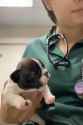 3.26 MB