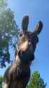 3.05 MB