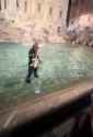 1.2 MB