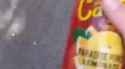 Rule 34 Rule 34 Video