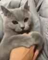 Rule 34 Rule 34 Video