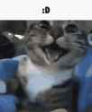 Rule 34 Rule 34 Image