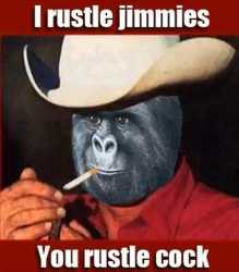 jimmies