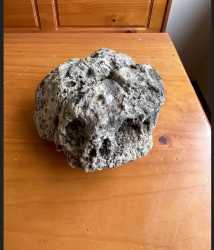 Paul-1