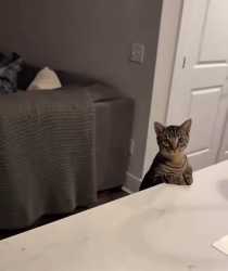 66 KB