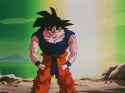 42 KB