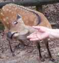 131 KB