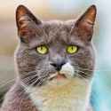 579 KB