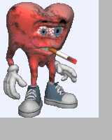 95 KB