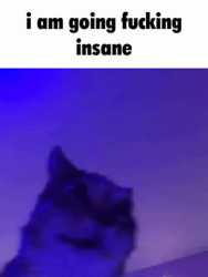 3.11 MB