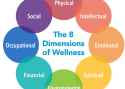 8-Dimensions-of-Wellness-943x675