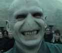 Voldkekmort