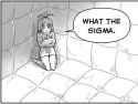 what_the_sigma