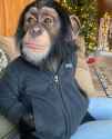 monke