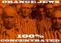 orange jews