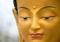 Buddha-1536x1024-landscape-62b938d4ce7e9175a65134eda4ca3e70-