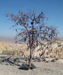 Votive_tree_cappadocia