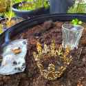 wild_rose_incense_2