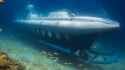 egypt tourist submarine