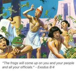 Frogs