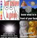 1735948688860815