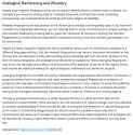 analogical_backtracing