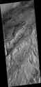giant croc or gator on mars
