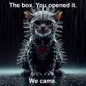 You_opened_it