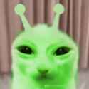 1746282309343304