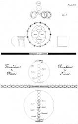 Ophitediagram-matter