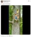 lady_of_the_woods