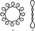 torus-dna-124324