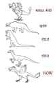 dino evolution
