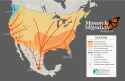 Monarch-Migration-Map-2023