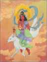 images-1