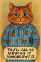 Roy Jay Cat