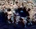 Screenshot_20250606_012352_Google Earth