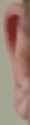 ear