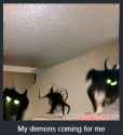 1748356679266795
