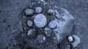 stone