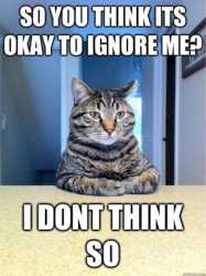 images (5)