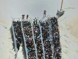 Herded